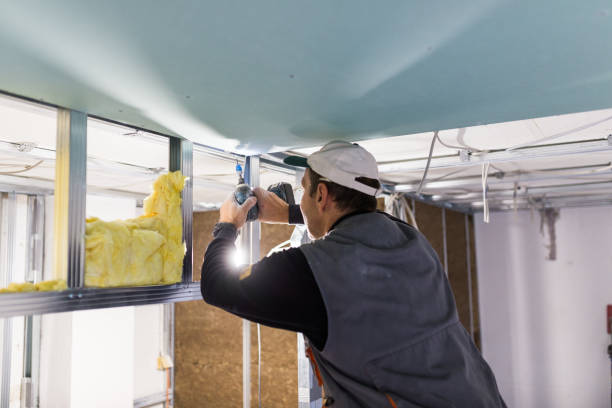 Best Spray Foam Insulation in Oak Ridge North, TX