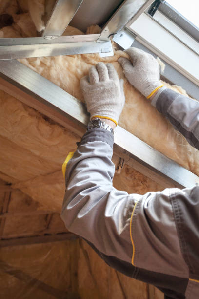 Best Geographic-Specific Insulation Services in Oak Ridge North, TX