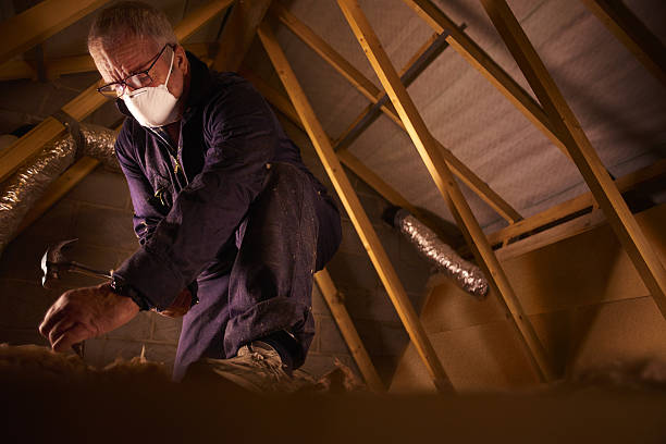 Best Commercial Insulation in Oak Ridge North, TX