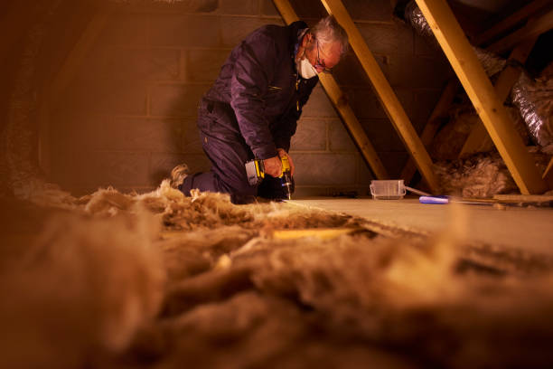 Best Eco-Friendly Insulation in Oak Ridge North, TX